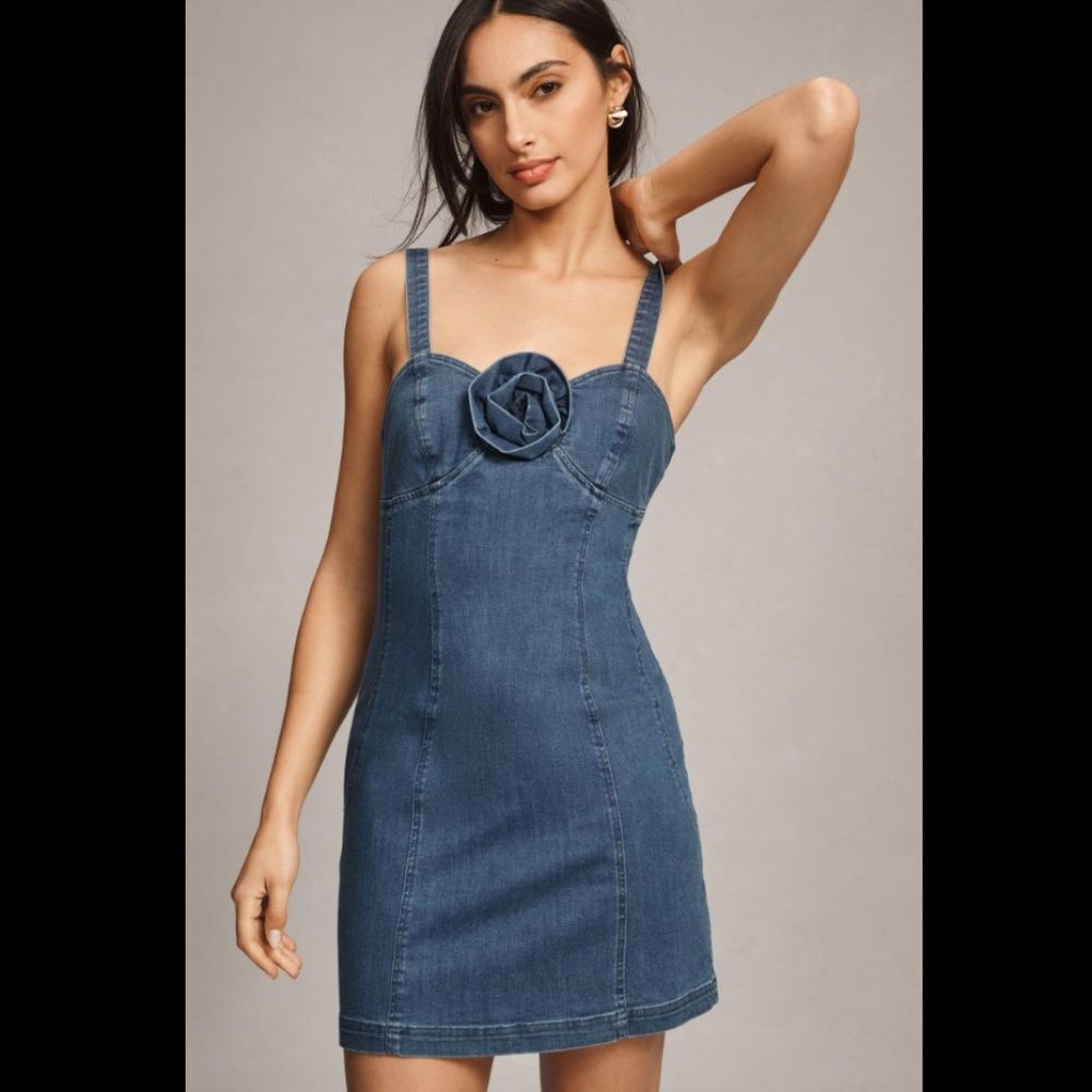 Anthropologie Porridge Rosette Denim Slim Mini Dress